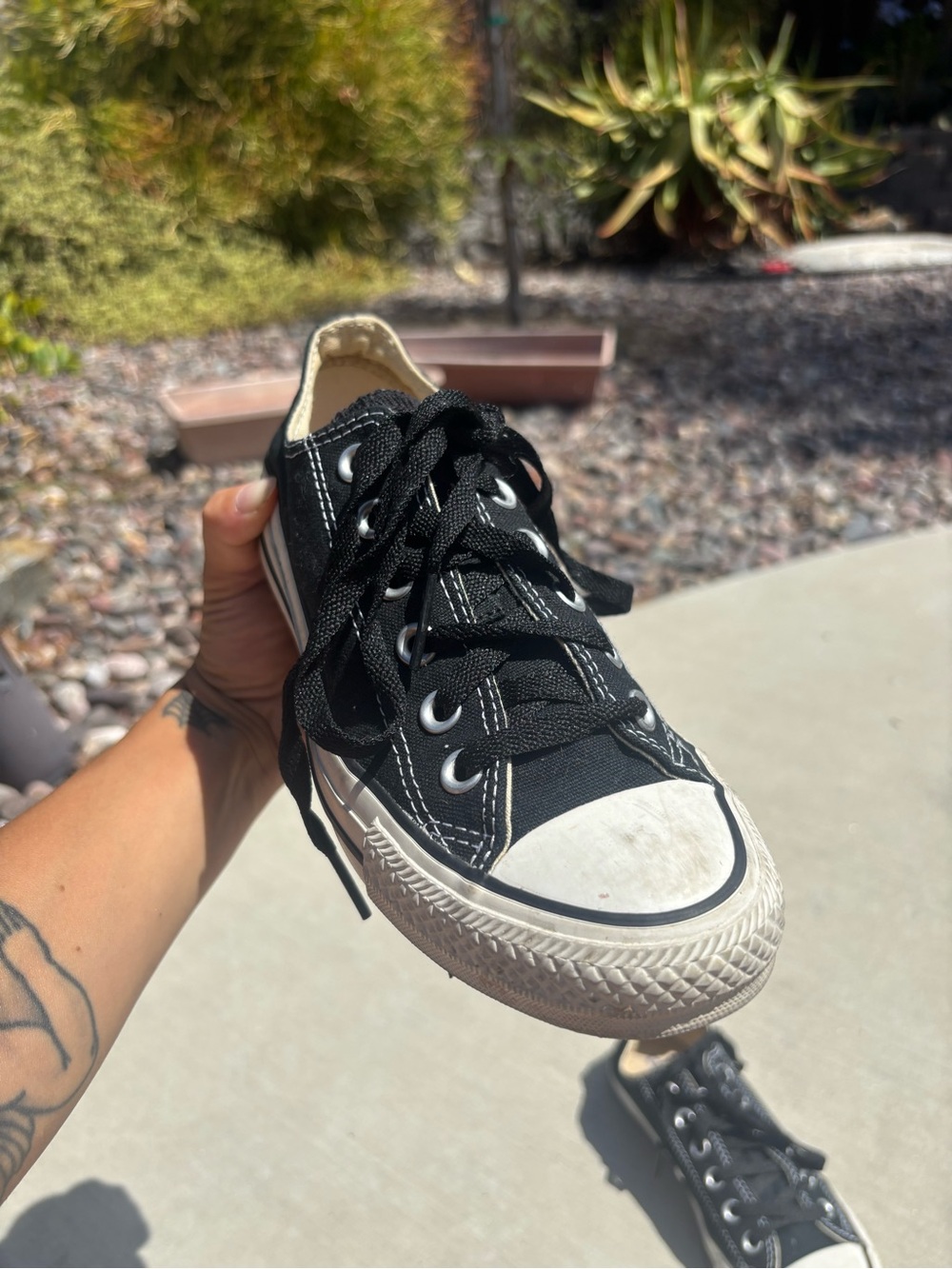 Converse - Picture 4 of 6